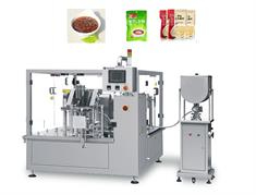 GD8-300 - 旋轉(zhuǎn)給袋式包裝機(jī)